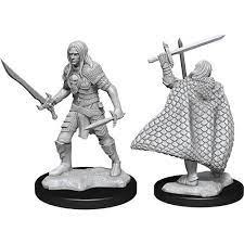 Male Elf Fighter